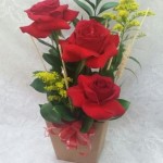 rosas importadas