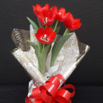 TULIPA