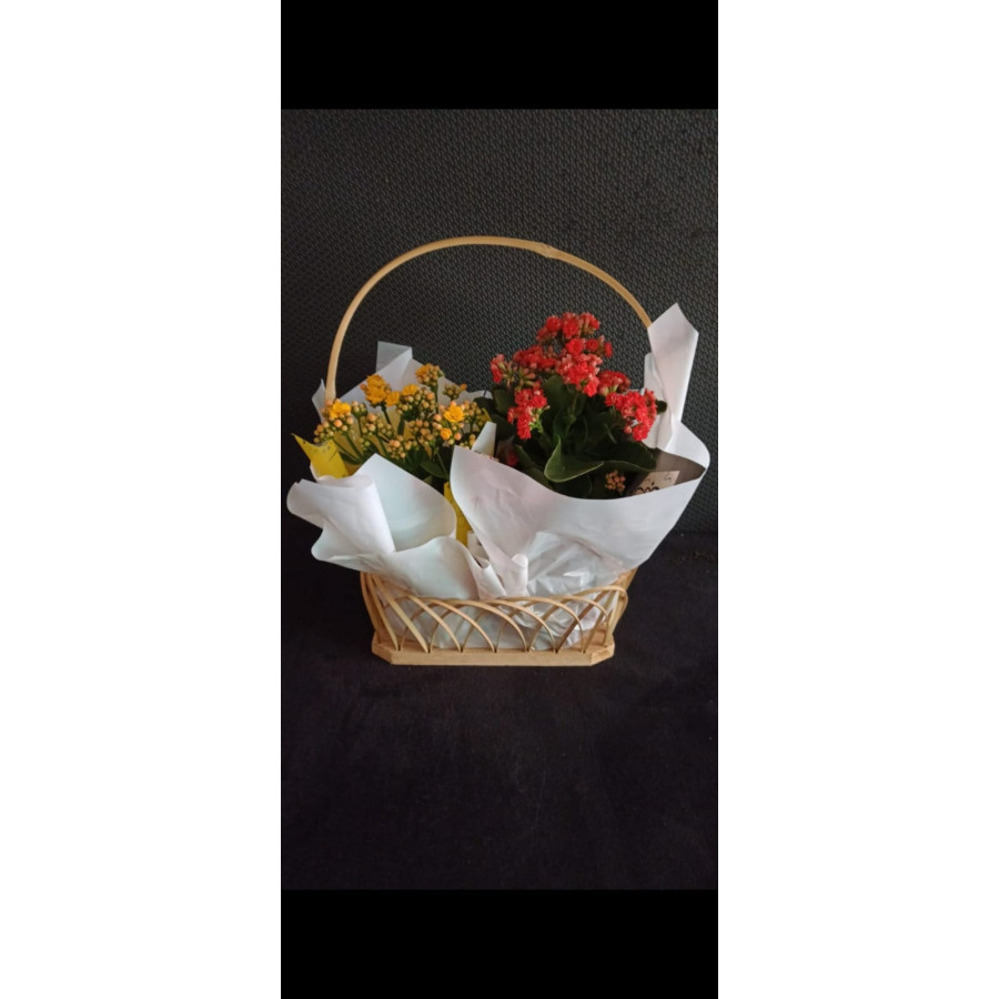 Cestinha com calandivas