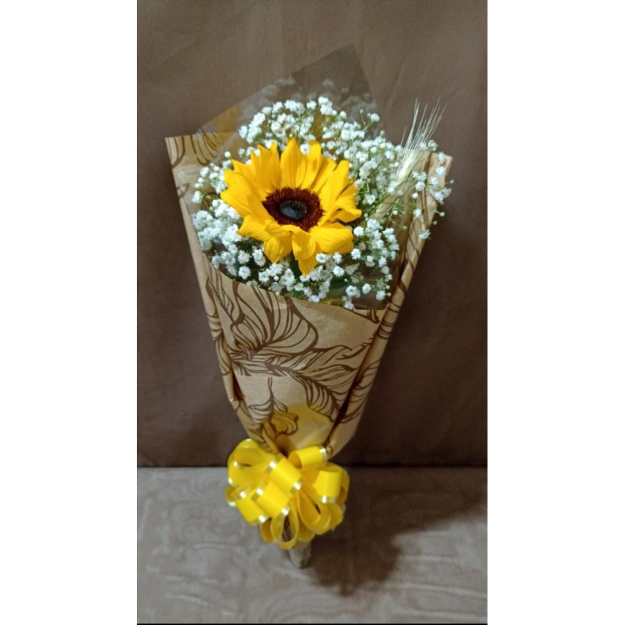 GIRASSOL MEU RAIO DE LUZ