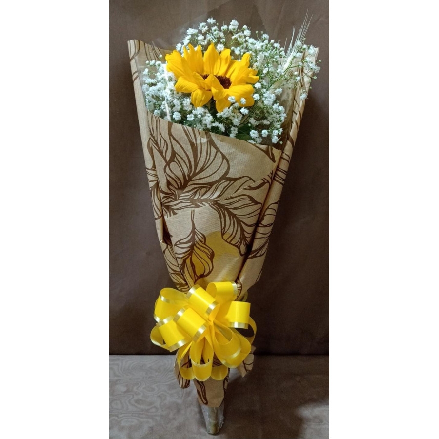 GIRASSOL MEU RAIO DE LUZ