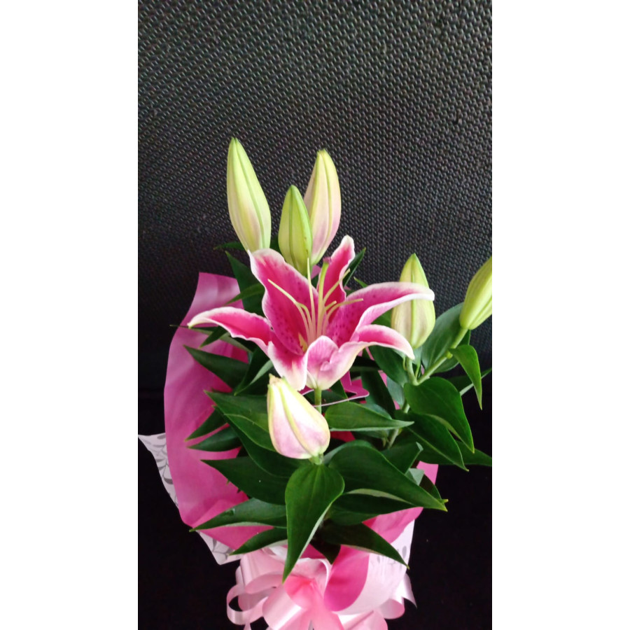 Vaso de lirio (rosa)