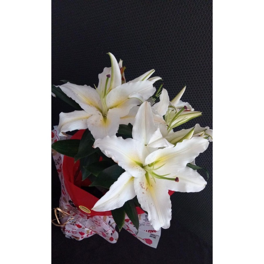 Vaso flor lírio (branco)