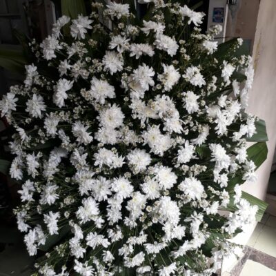 COROA DE FLORES DO CAMPO