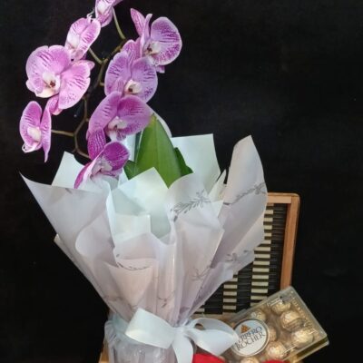 BAÚ COM ORQUIDEA PHALAENOPSIS CASCATA, FERRERO ROCHER 12 BOMBONS E PELÚCIA